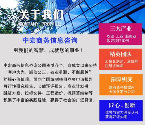 鄒平商業(yè)計(jì)劃書(shū)專(zhuān)業(yè)代寫(xiě)與商務(wù)信息咨詢服務(wù)企劃案